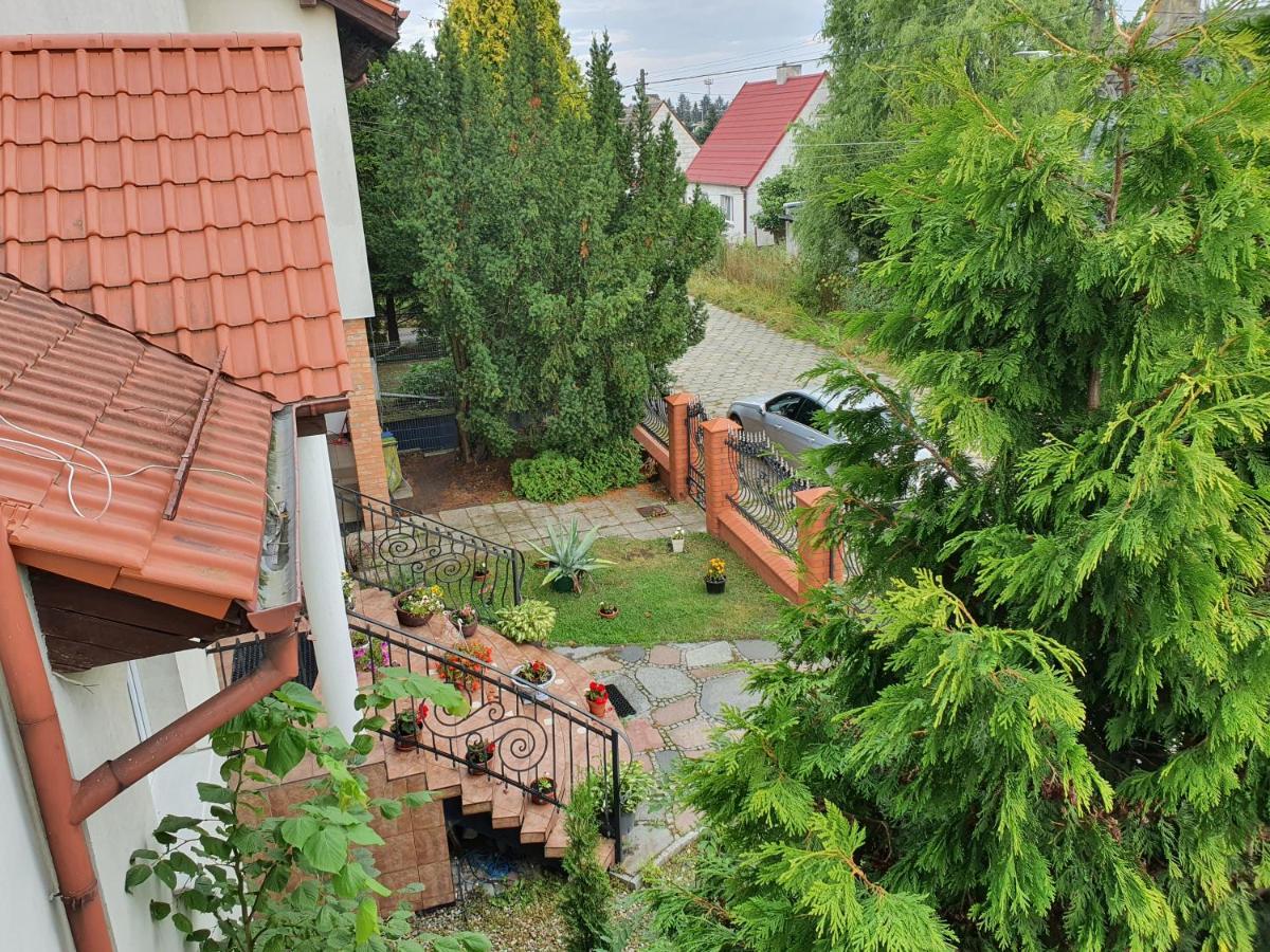 Apartament Zibi *